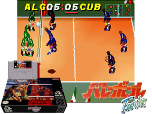 Dig & Spike Volleyball (U) Cover